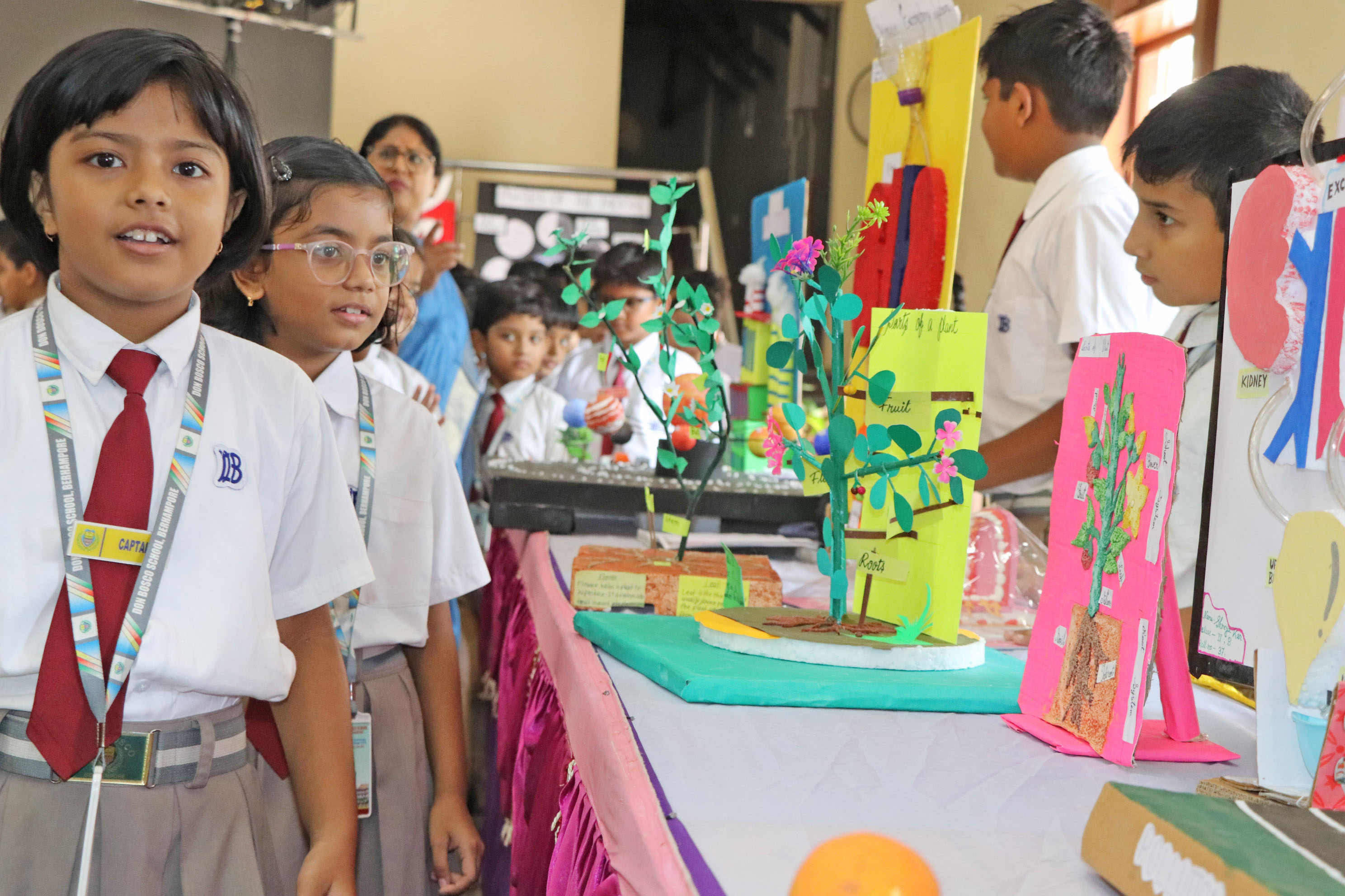 Science & Art Exhibition 2025 - Primary